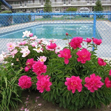 Grand Motel Toronto Exterior photo